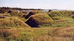 143.jpg  143
